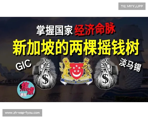 新加坡淡马锡基金聚焦足球科技投资 推动智能护具研发创新 新加坡淡马锡基金聚焦足球科技投资 推动智能护具研发创新