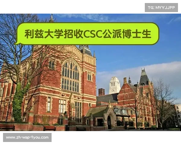 利兹大学博士项目招募倒计时仅剩1名额需提交2000字脑震荡研究方案 利兹大学博士项目招募倒计时仅剩1名额需提交2000字脑震荡研究方案